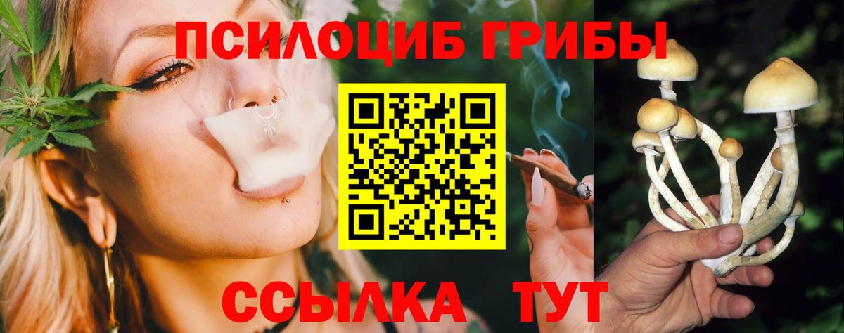 Галлюциногенные грибы MAGIC MUSHROOMS Полевской