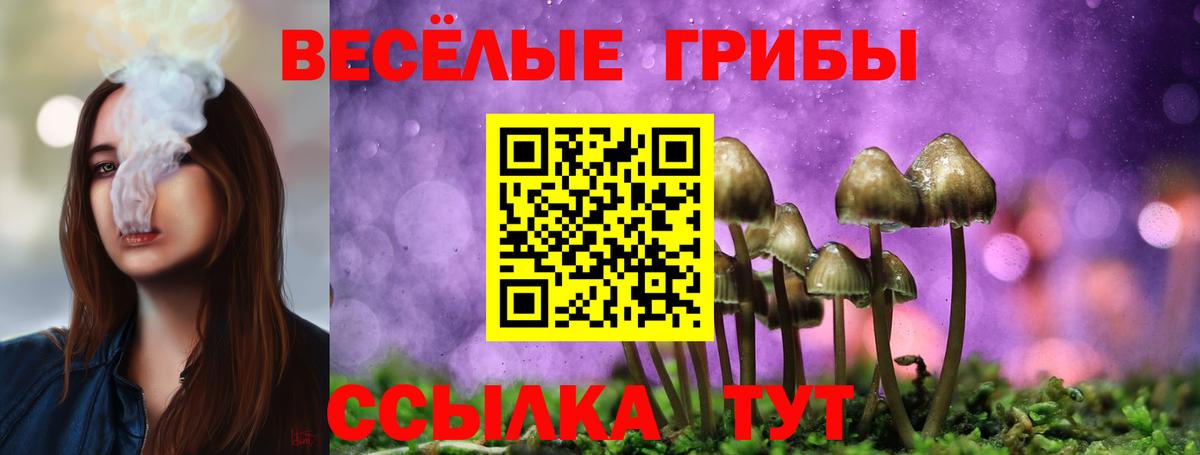 Галлюциногенные грибы ЛСД  Вход с VPN  Полевской 